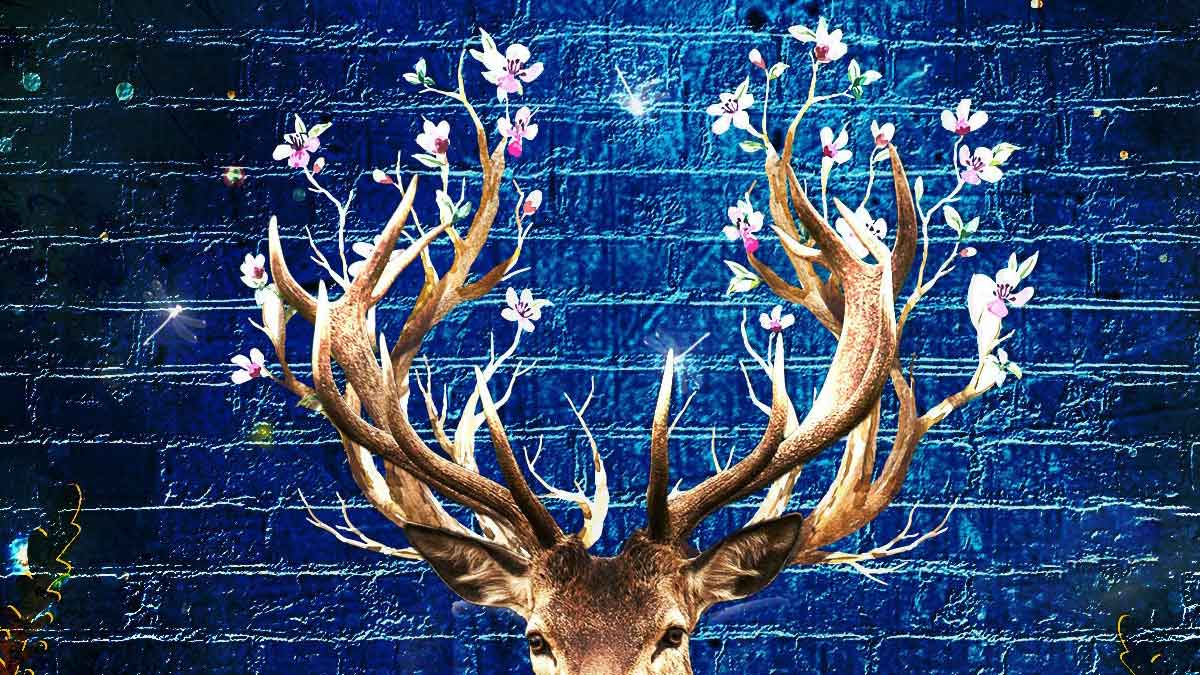 Magical Midlife Invation - Teaser