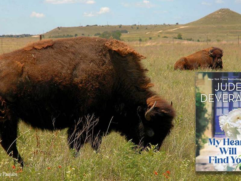 My Heart Will Find You (Review) – Please don’t let me wake until I choose&nbsp;to